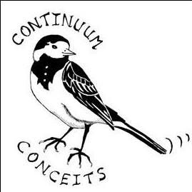 Continuum Conceits