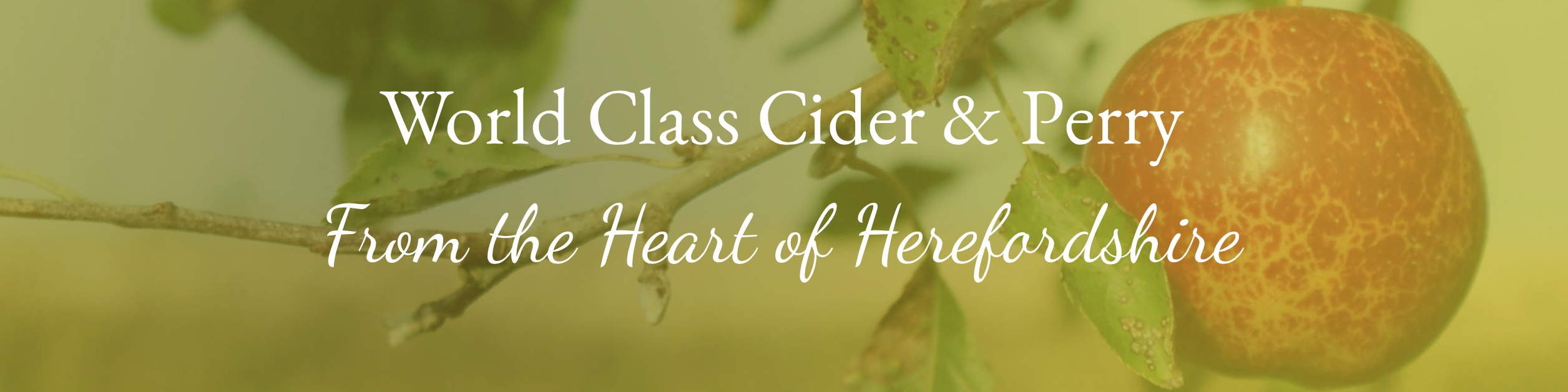 World Class Cider & Perry