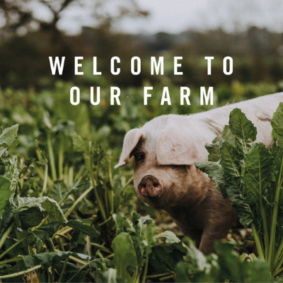 Meet Our Sponsor: Pipers Farm