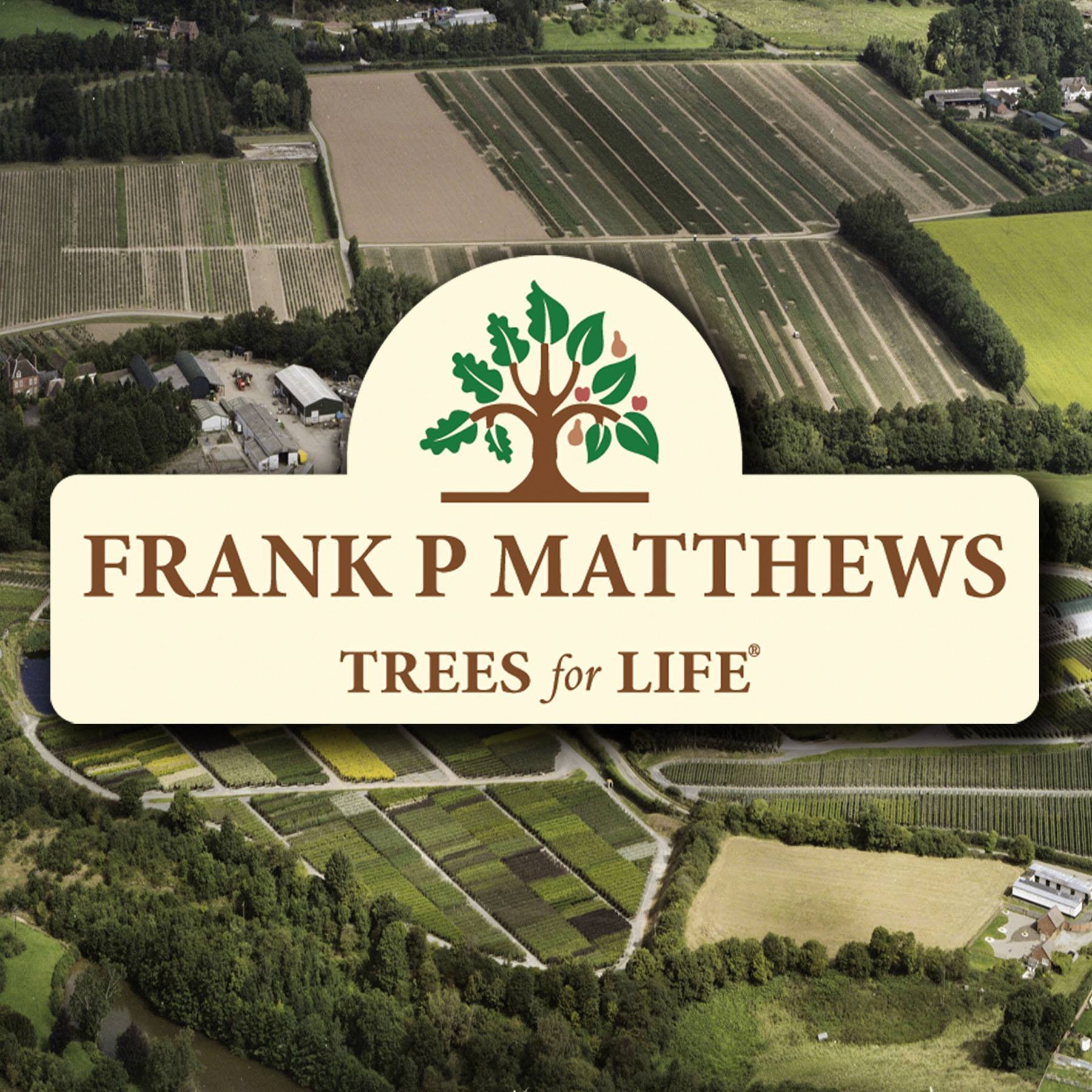 Meet the Producer: Frank P Matthews Trees