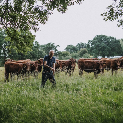 Pipers Farm: What's the beef with eating meat?