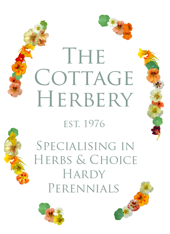 Virtual Festival - The Cottage Herbery