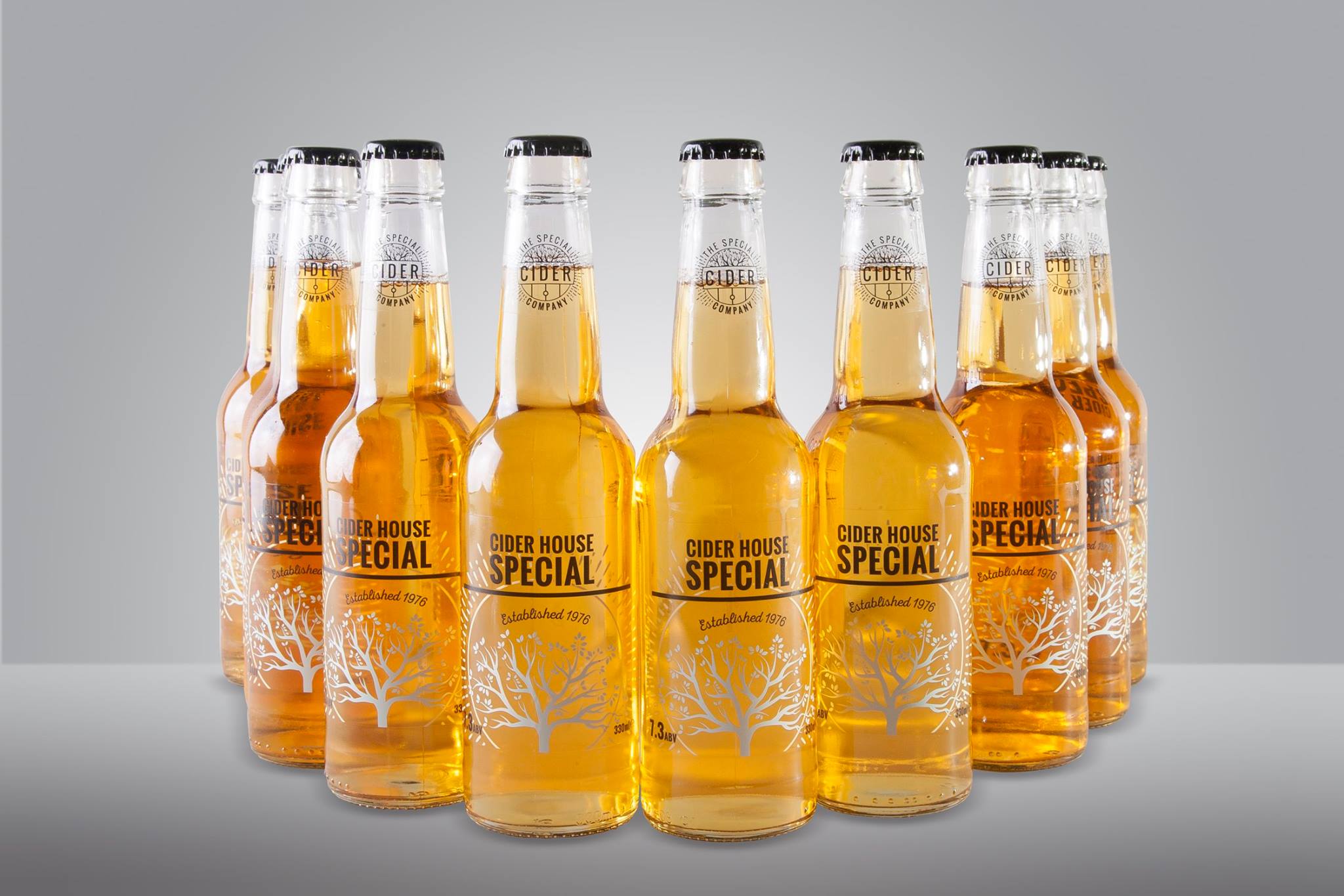Discover The Special Cider Company at this year's Ludlow Spring Festival