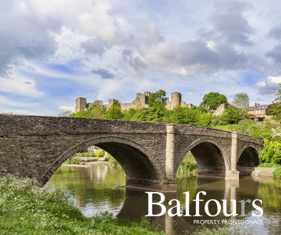 Meet Our Sponsor: Balfours