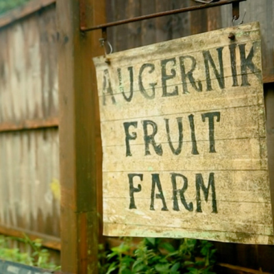 When A Lifelong Dream Bears Fruit - Augernik Fruit Farm