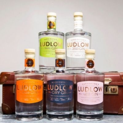 Wardington's Original Ludlow Gin turns 3 in style at Ludlow Food Festival