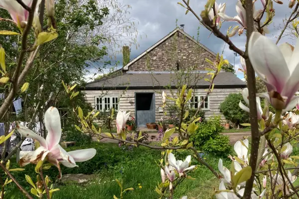 Recipe: Edible flower canapés