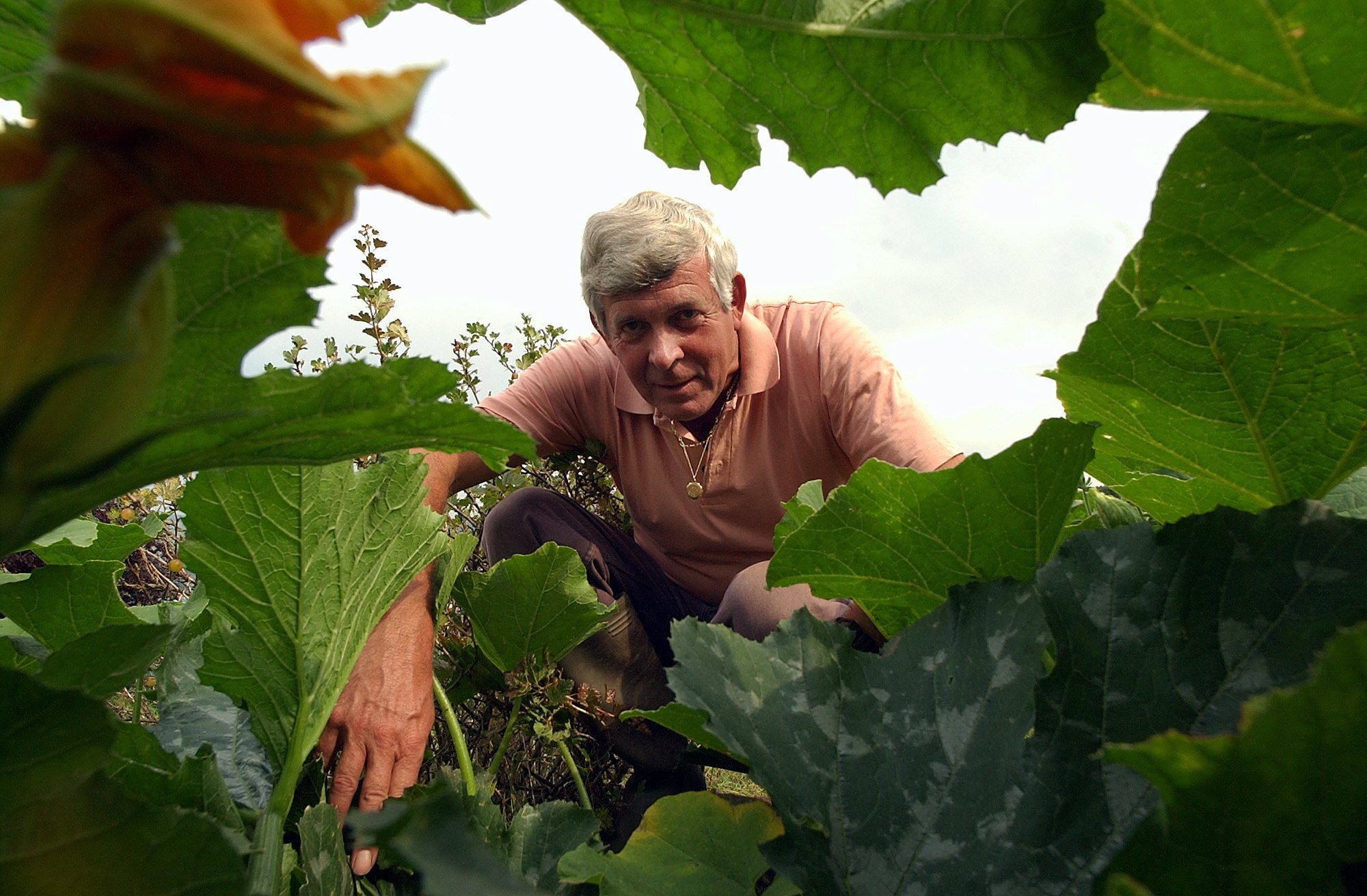 Chef Spotlight: Terry Walton